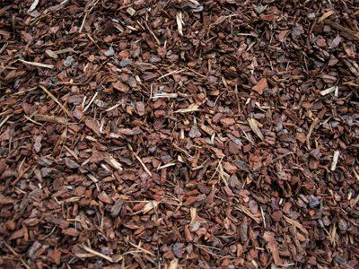 Heap of barks