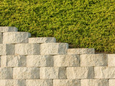 Garden on wall