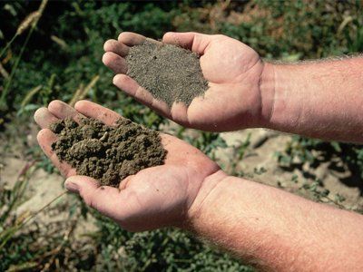 Handful of Loam