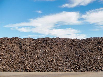 Manure