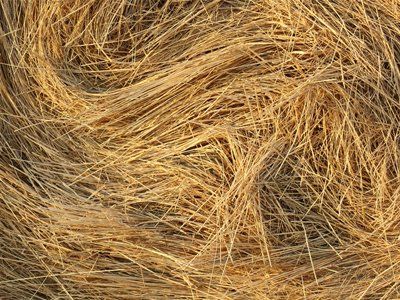 Straw