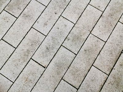 Pave