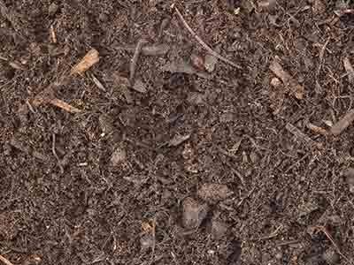 compost