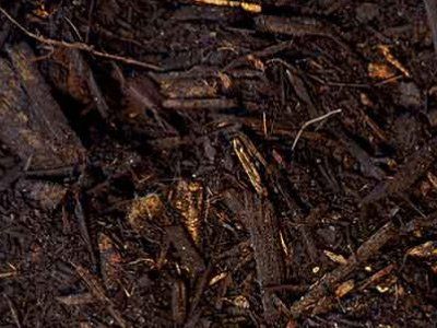 Mulch