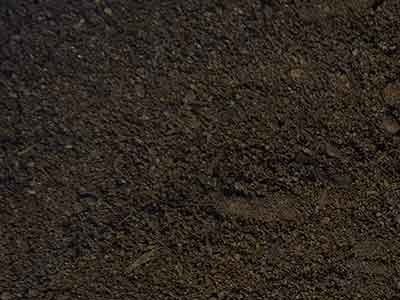 soil