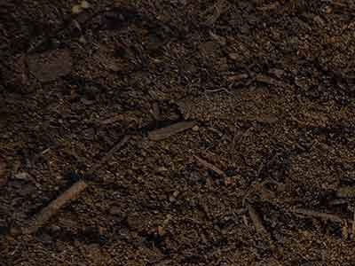 soil