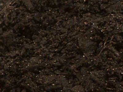 soil